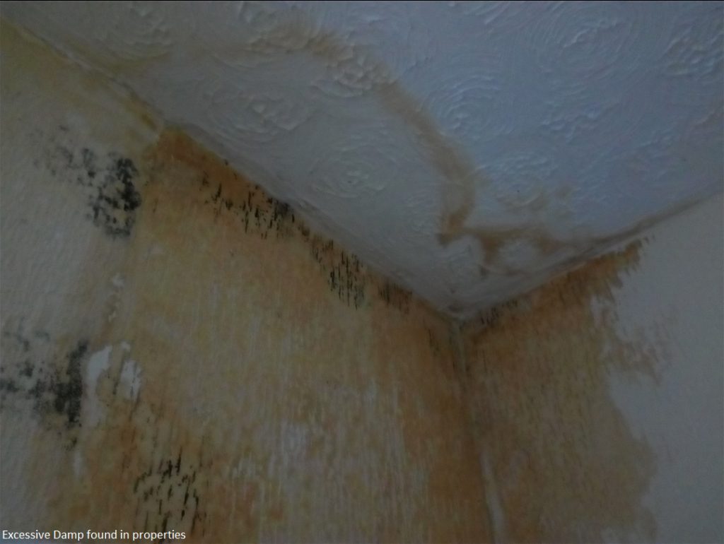 Excessive Damp found in properties
