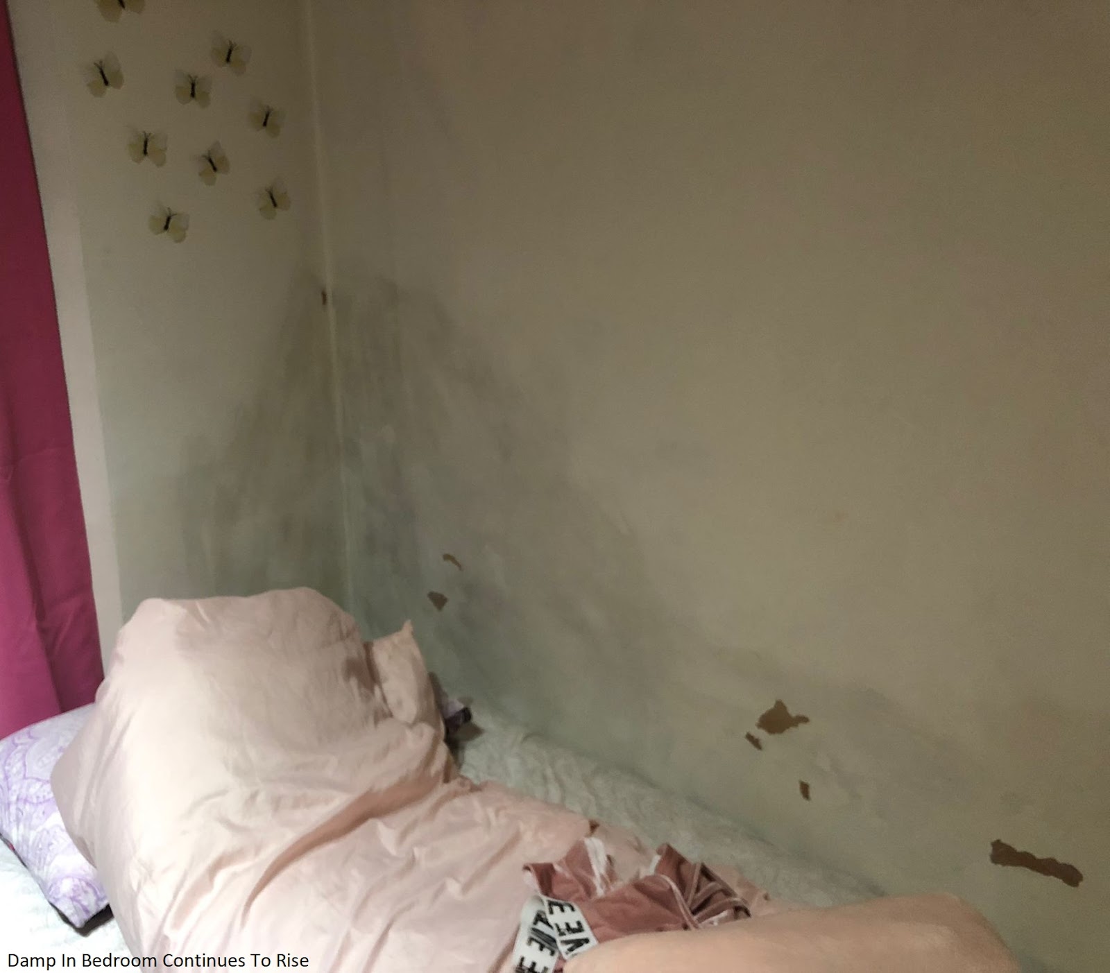 damp in bedroom